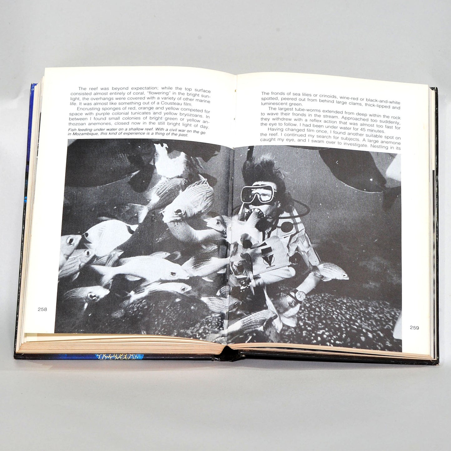 South Africa's Second Underwater Handbook — Al J. Venter, Vintage