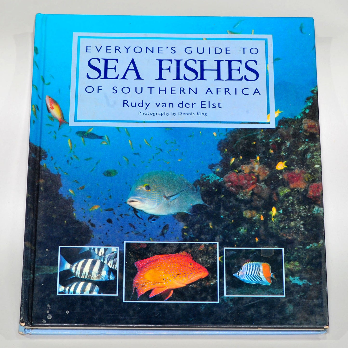 Everyone's Guide to Sea Fishes of Southern Africa — Rudy van der Elst, 1990