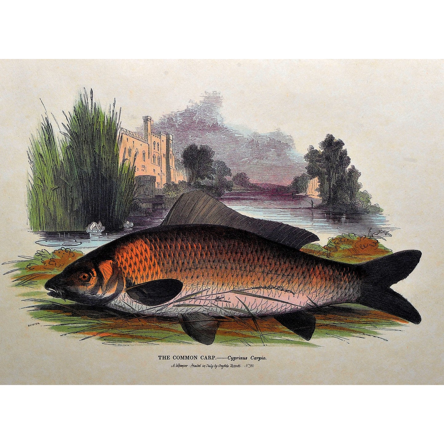 Vintage Art Prints — Set of 4, Printed in Italy