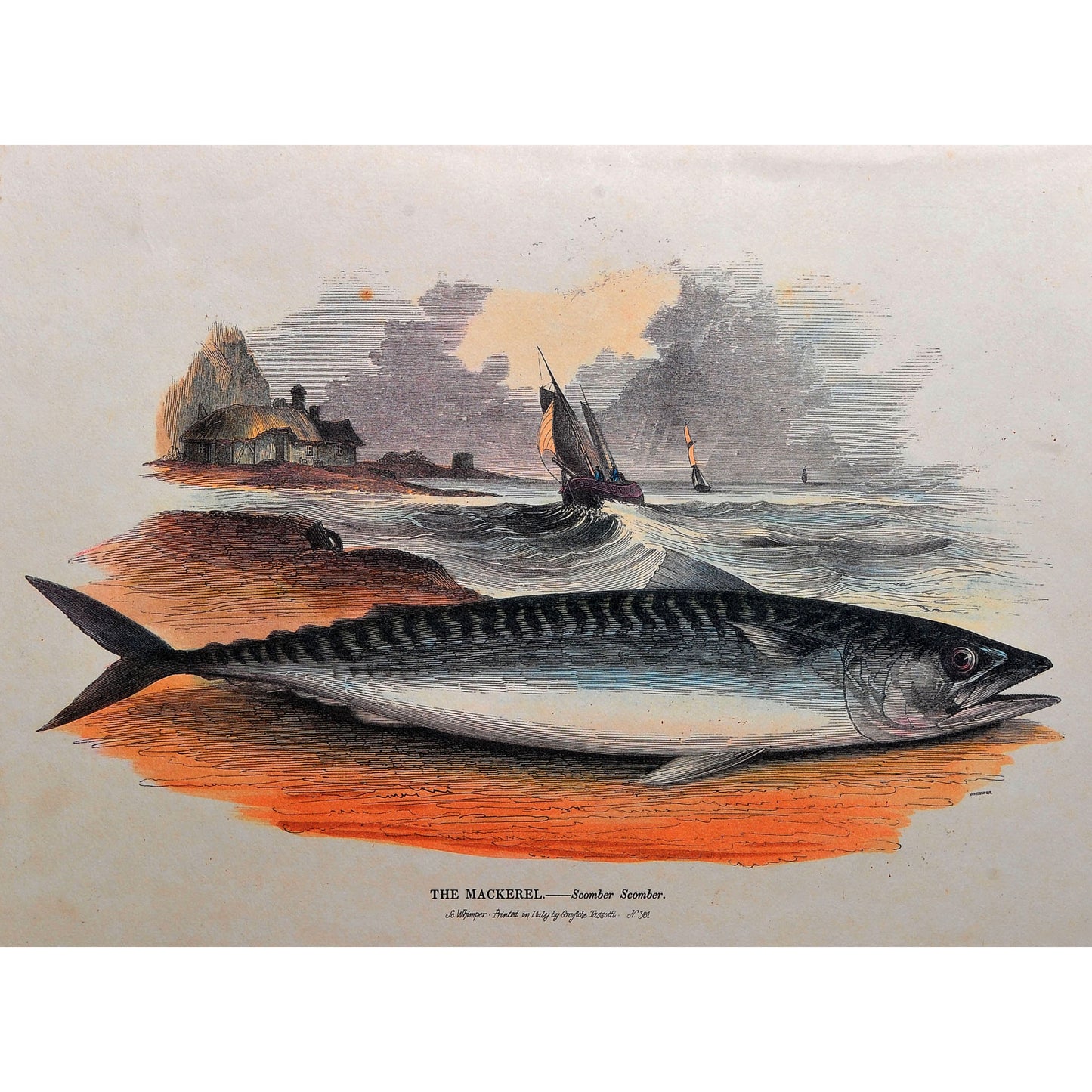 Vintage Art Prints — Set of 4, Printed in Italy
