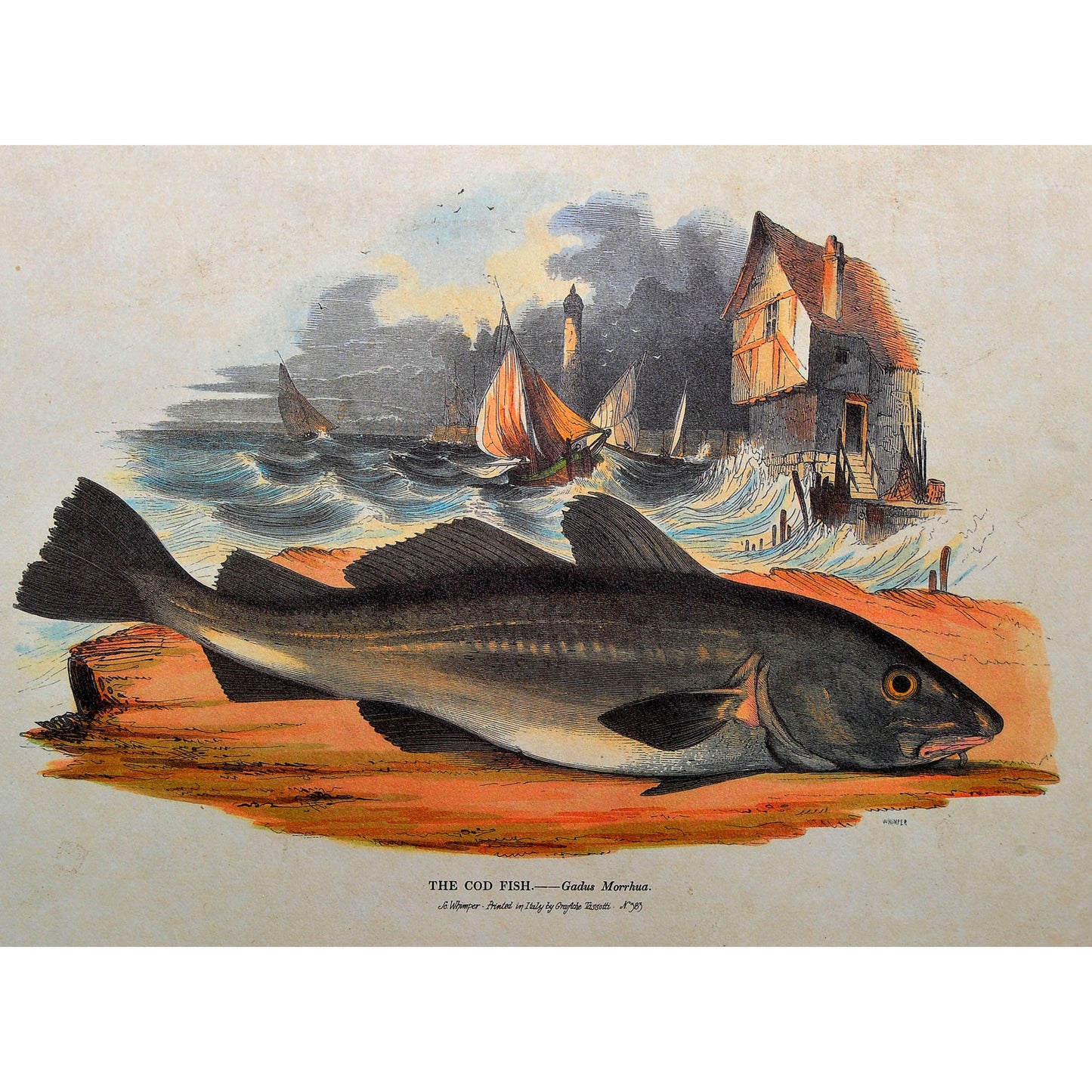 Vintage Art Prints — Set of 4, Printed in Italy